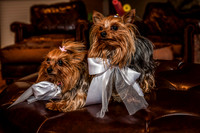 20120526-170500-Edit