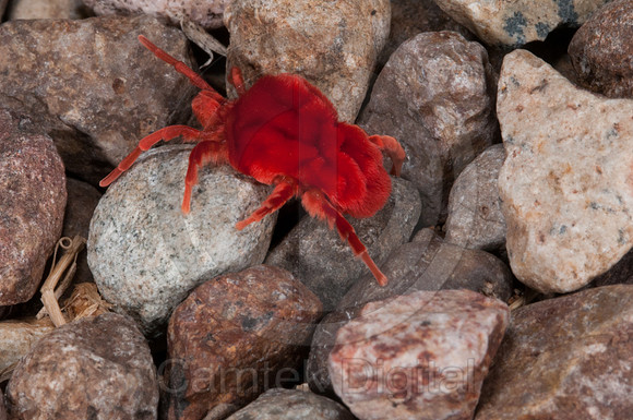 20110813-092058