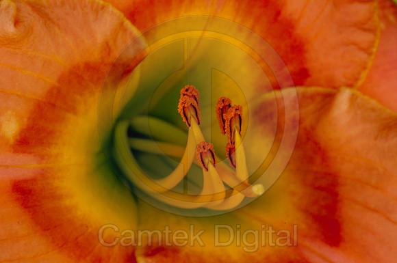 20090530-101330