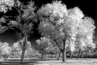 20130110-101320-HDR-Edit