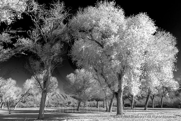 20130110-101320-HDR-Edit
