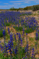 20130331-115055_5-2_5-3_5-4_6