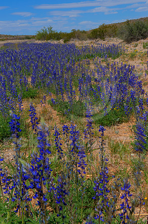 20130331-115055_5-2_5-3_5-4_6