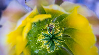 20150422-162713-E