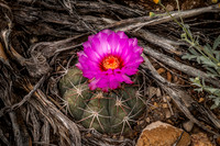 20150424-163453-2