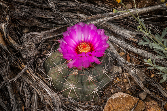 20150424-163453-2