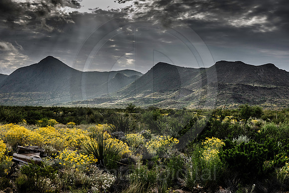 20150512-082753-Edit