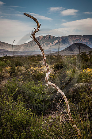 20150523-171149-Edit
