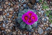 20150523-171424-Edit
