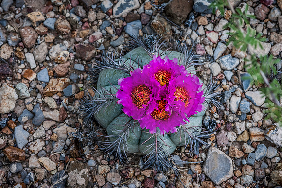 20150523-171424-Edit