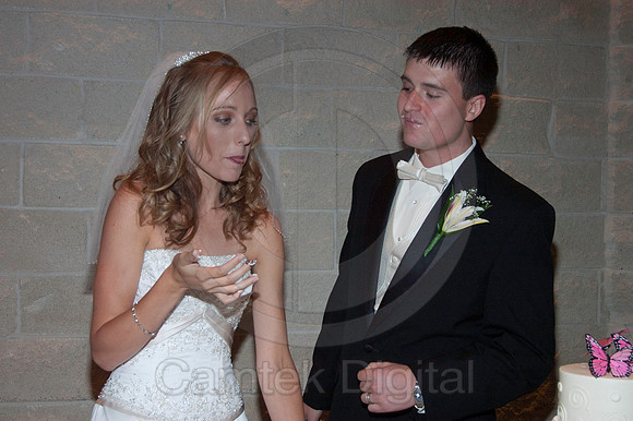 Bradbury-Finley Wedding
