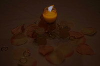 Bradbury-Finley Wedding