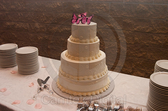 Bradbury-Finley Wedding